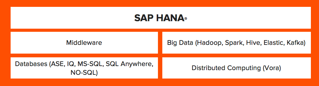 SAP Hana