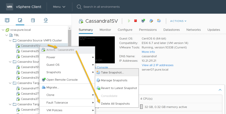 vCassandra_vmware_delete_snapshot