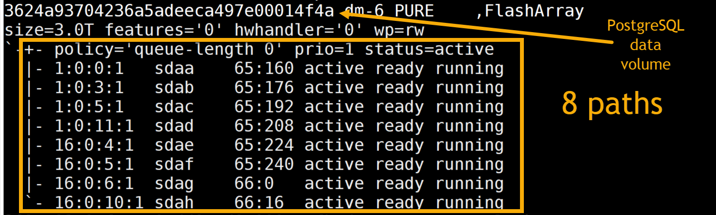 PostgreSQL data volumes