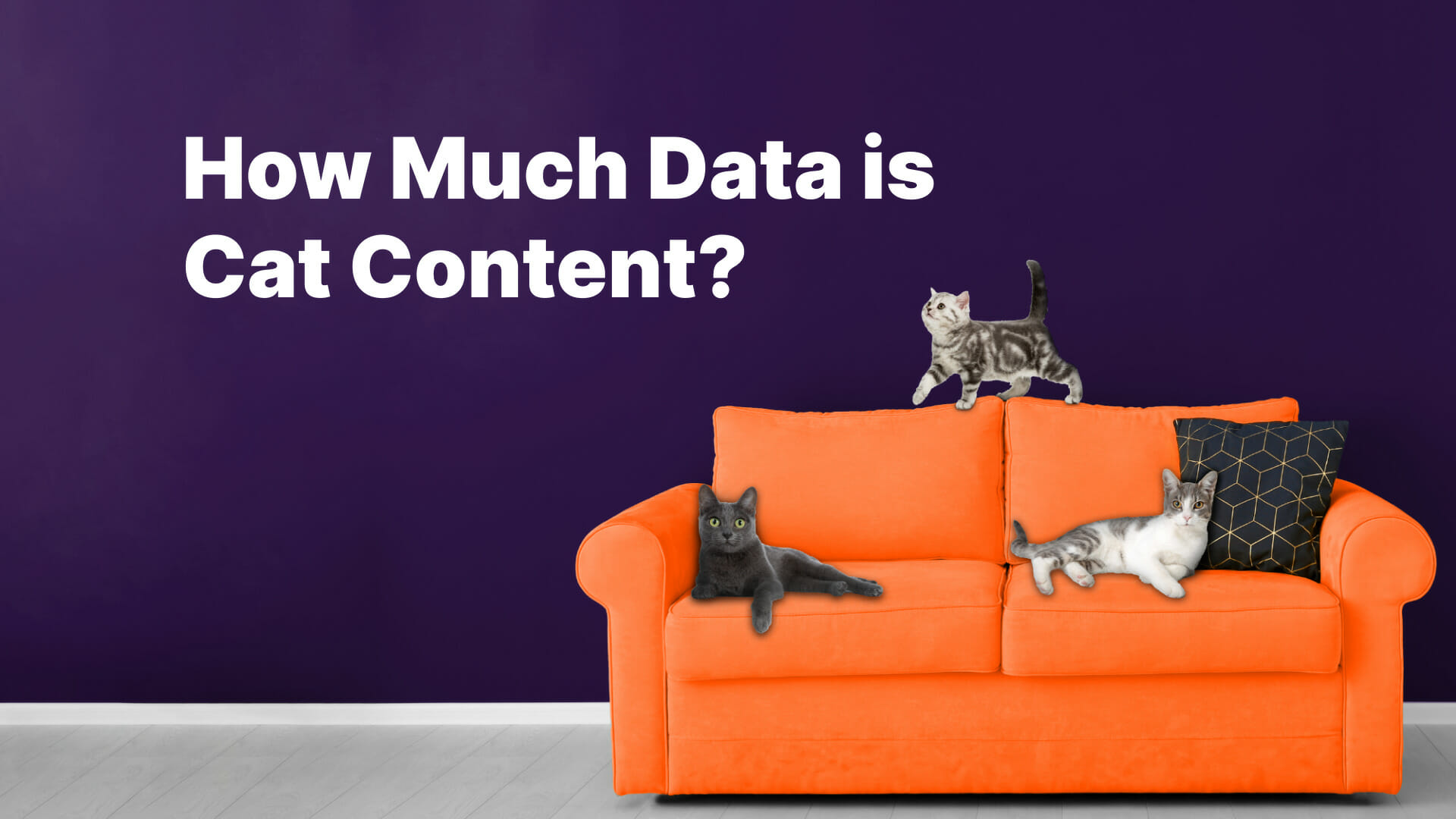 Data Is Cat Content