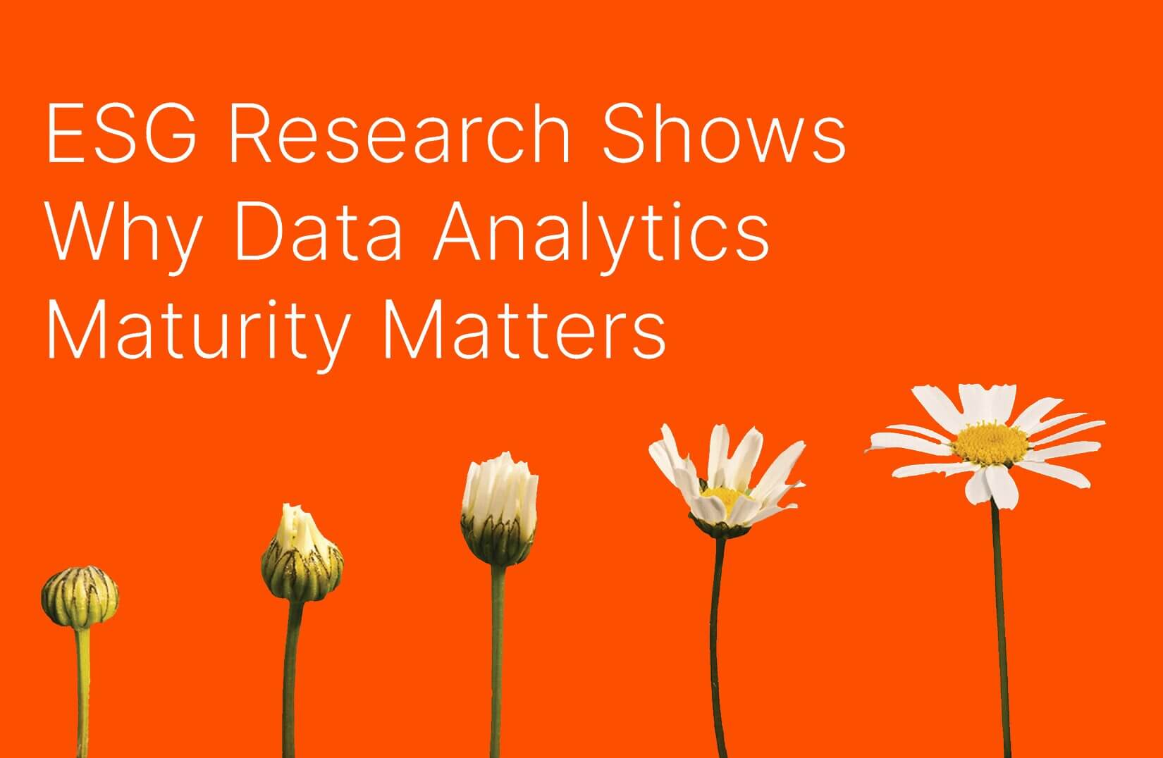 Data analytics maturity