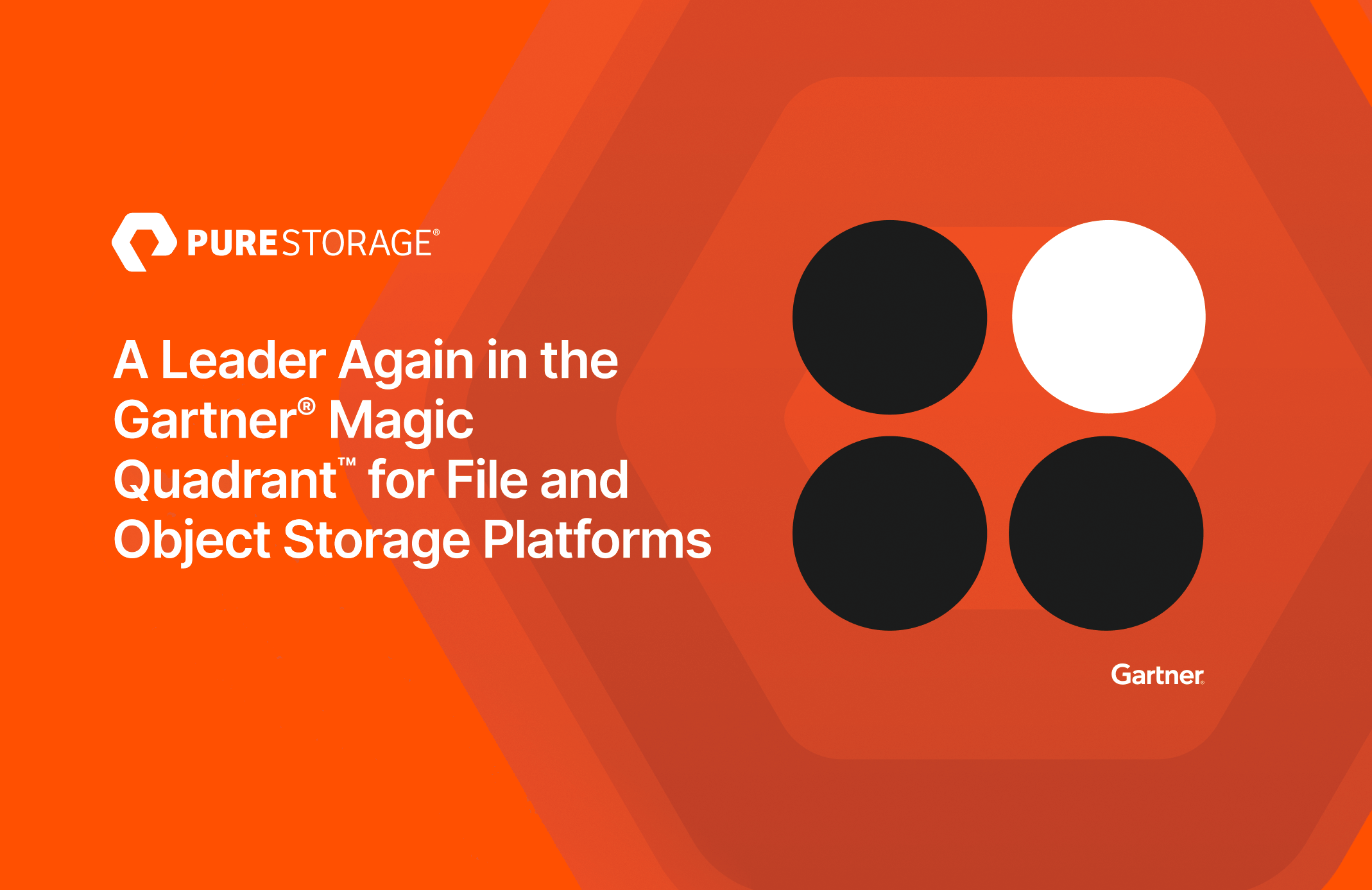 A Leader Again in the Gartner Magic Quadrant for File and Object Storage Platforms