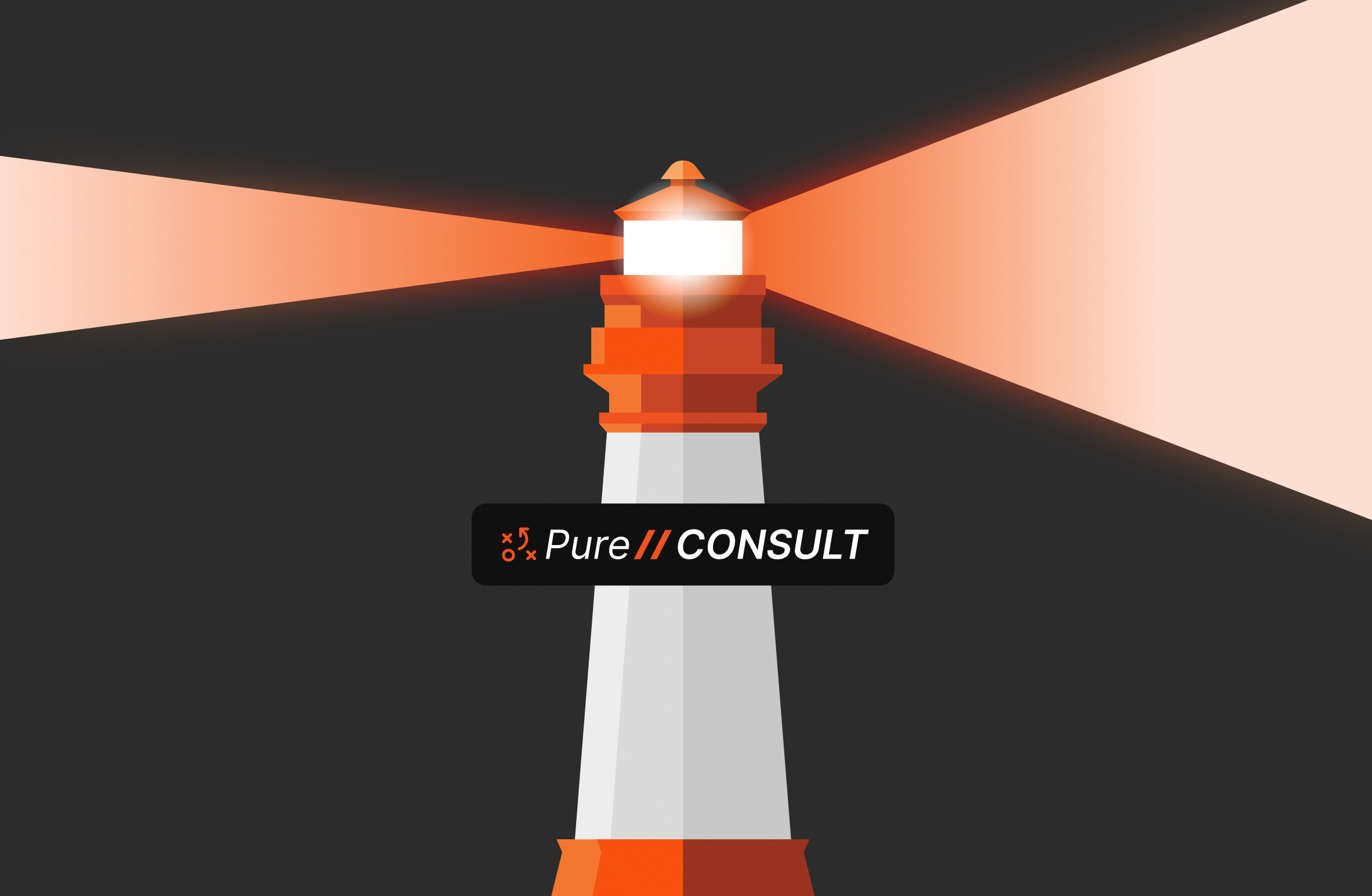 Unlocking Business Potential through Expert Data Consultation